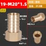 19-M20x1.5