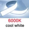6000K Cold White