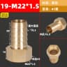 19-M22x1.5